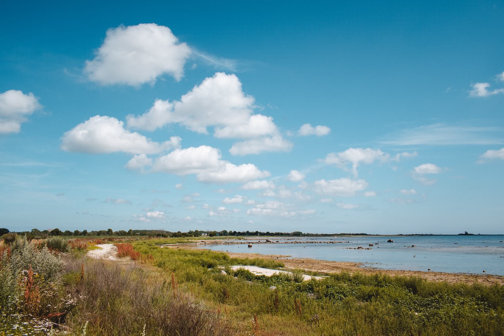 Natuur in Zweden, kust Gotland