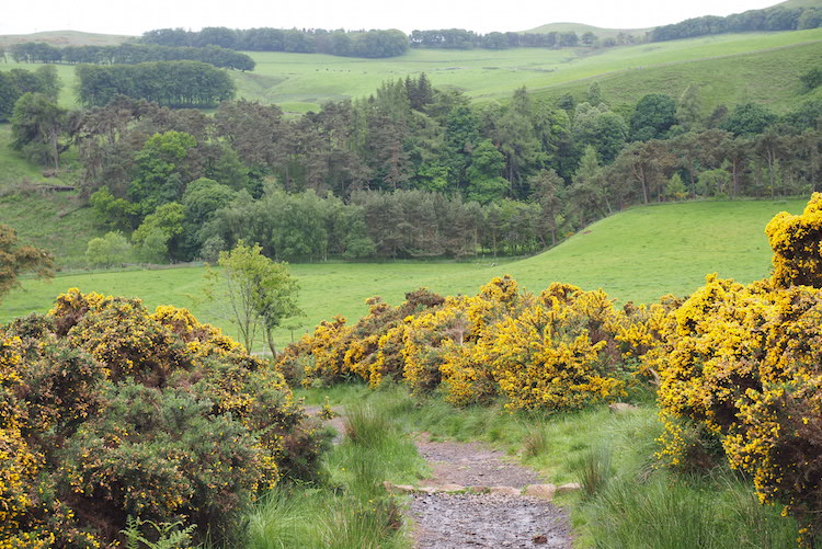 Pentland National park Schotland