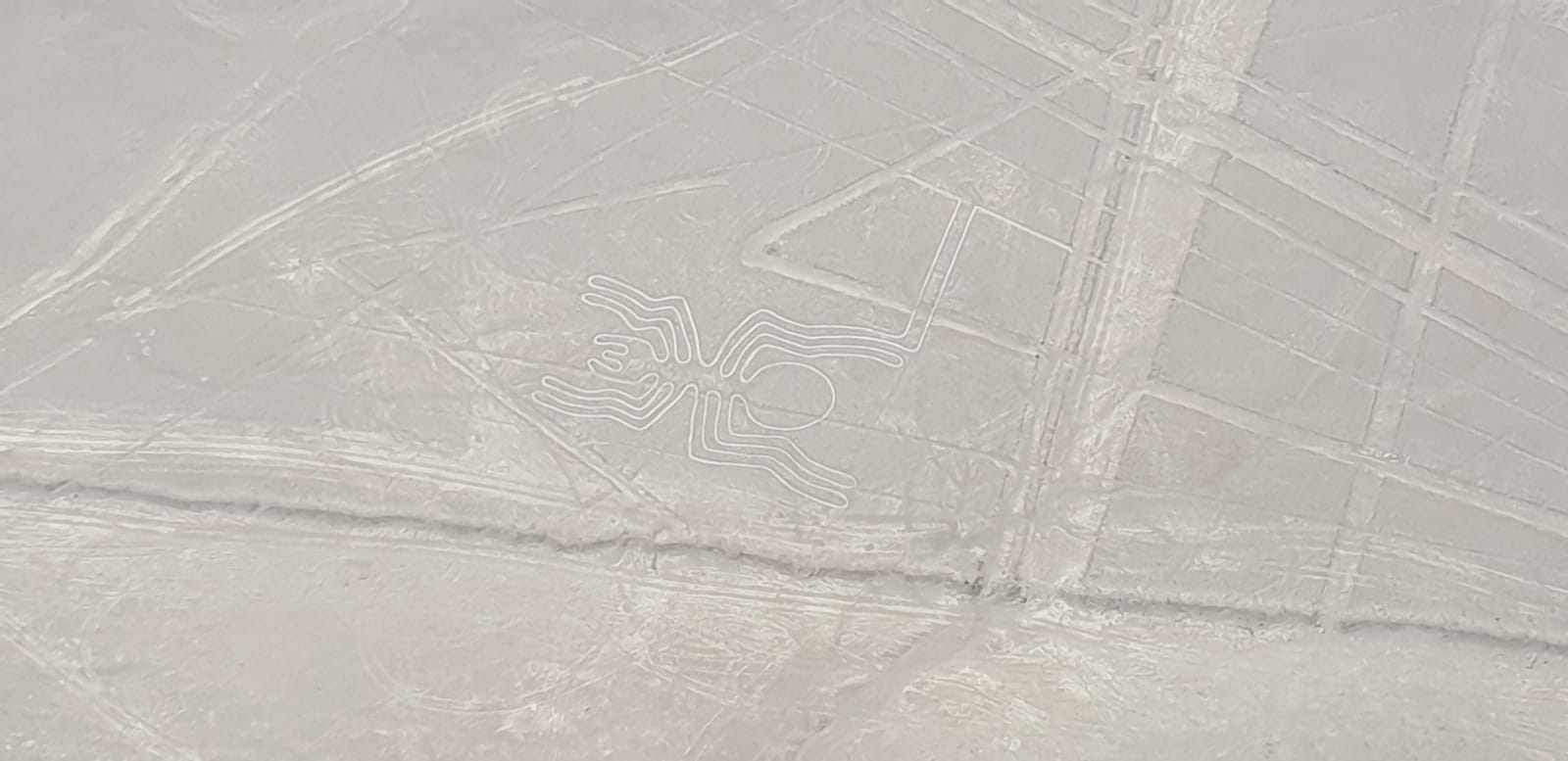 Nazca Lijnen bezoeken spin peru