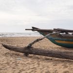 Negombo vissersboten sri lanka