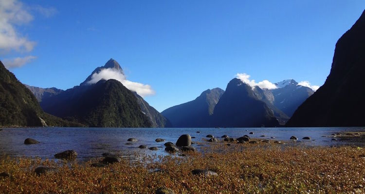 Nieuw zeeland tips backpacken backpackers