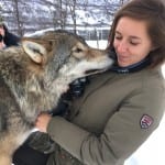 Noorwegen wolven kus