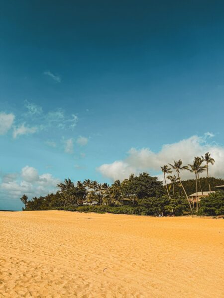 North shore beach