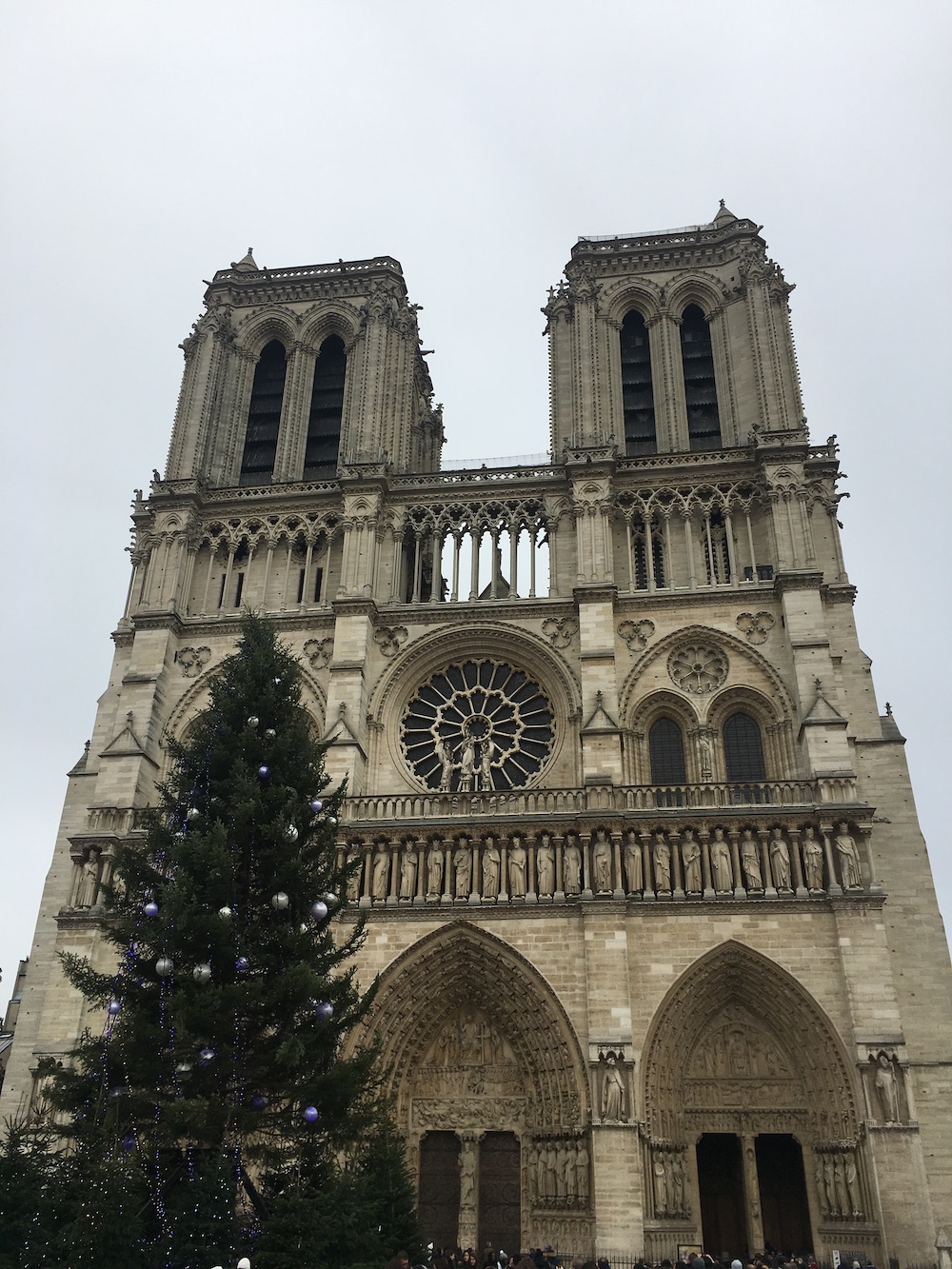 Notre Dame, Parijs in de winter