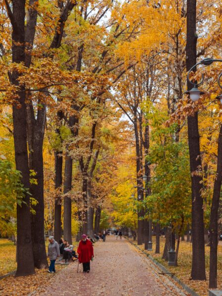 Oak park bishkek tips