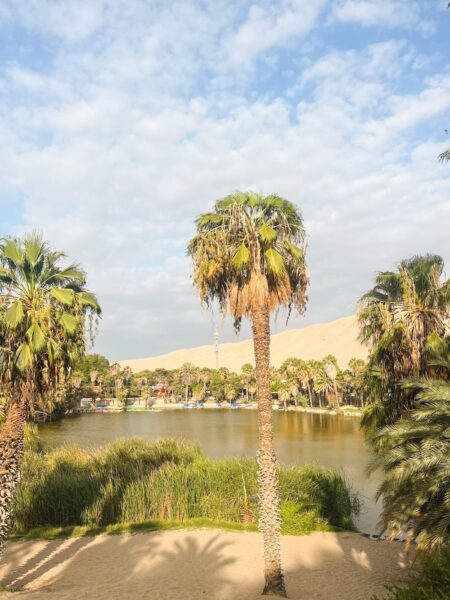 Oase bij Huacachina