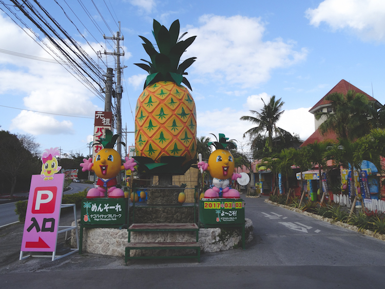 Okinawa-Japan-Ananas-plantage