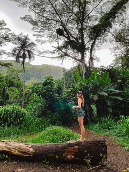 Onderweg door het groen, Manoa Falls