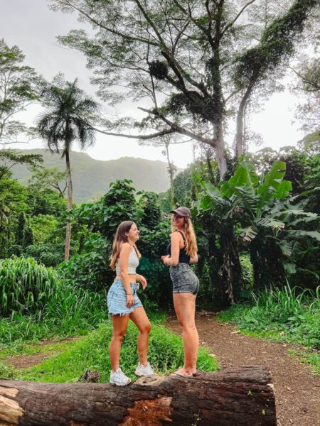 Onderweg door het groen Manoa Falls Hawaii