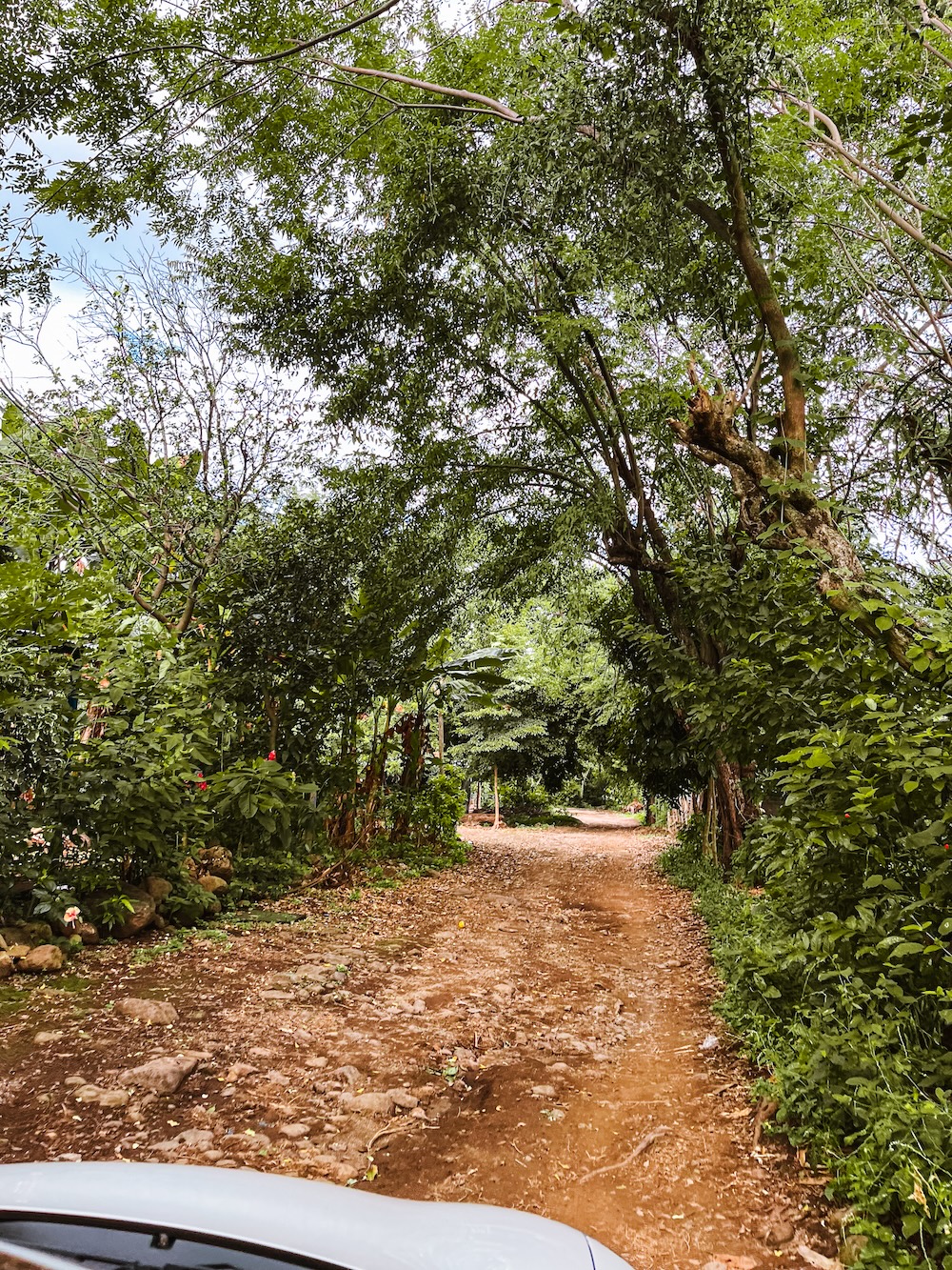 Onderweg op Isla de Ometepe naar totoco eco