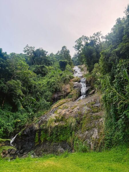 Onderweg watervallen spotten, El Yunque