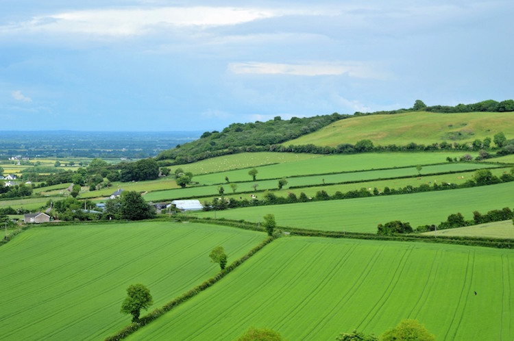 Oost Ierland Dunamase weilanden