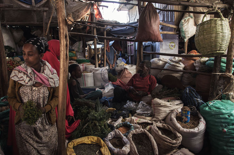 Op reis naar Ethiopie reizen harar
