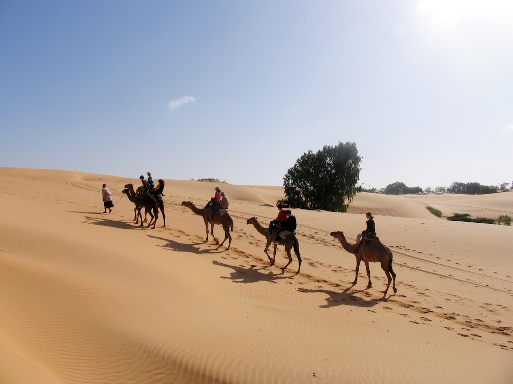 Op stap met de kamelen in Lompoul, Senegal