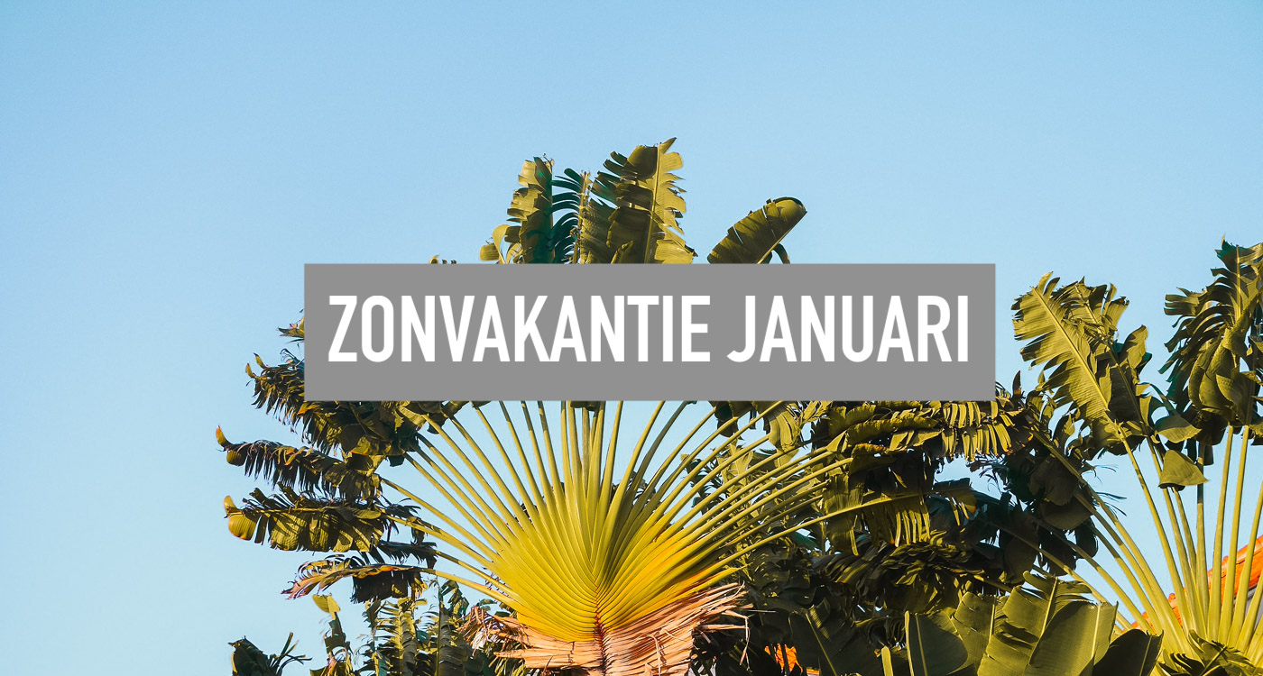 Op zonvakantie in JANUARI