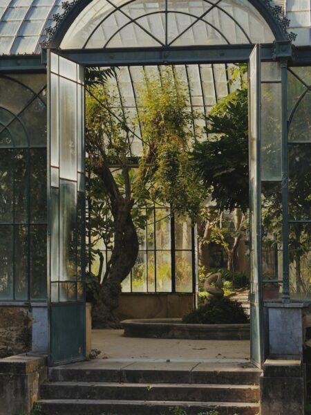 Orto Botanico di Palermo