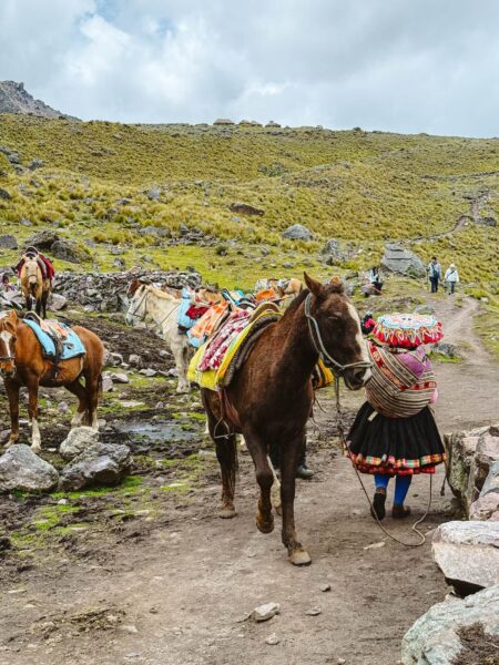 Paard onderweg, Ausangate Trek