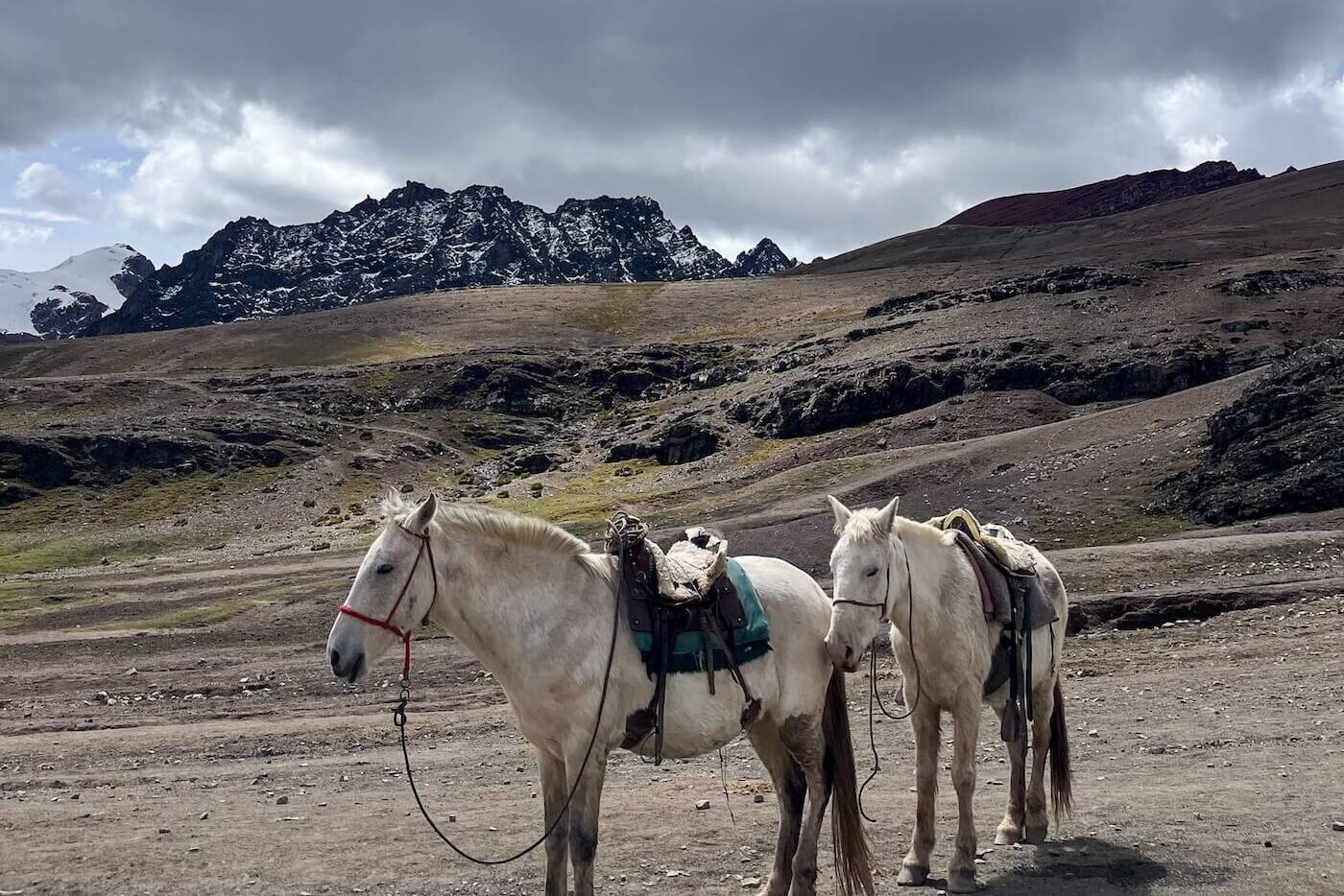 Paarden voor omhoog Rainbow Mountains