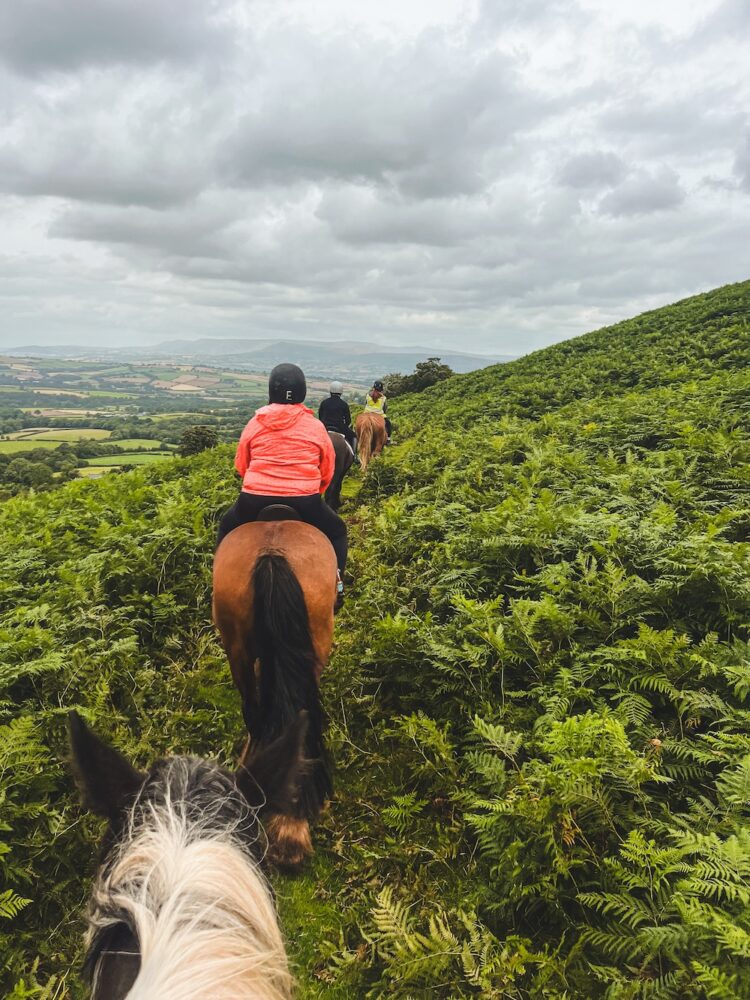 Paardrijden Brecon Beacons