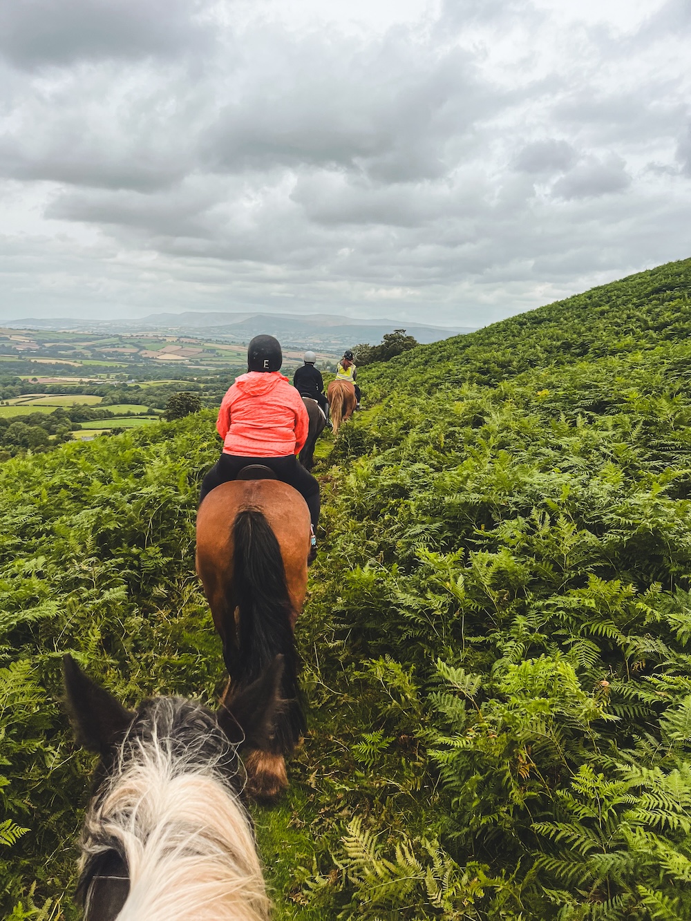 Paardrijden Brecon Beacons