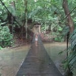 Palenque jungle mexico