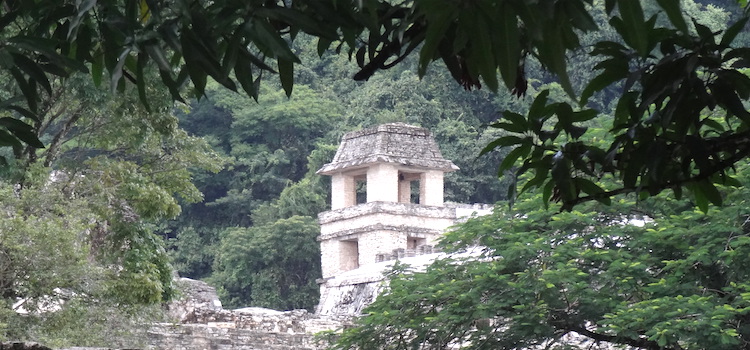 Palenque paleis Mexico mayastad