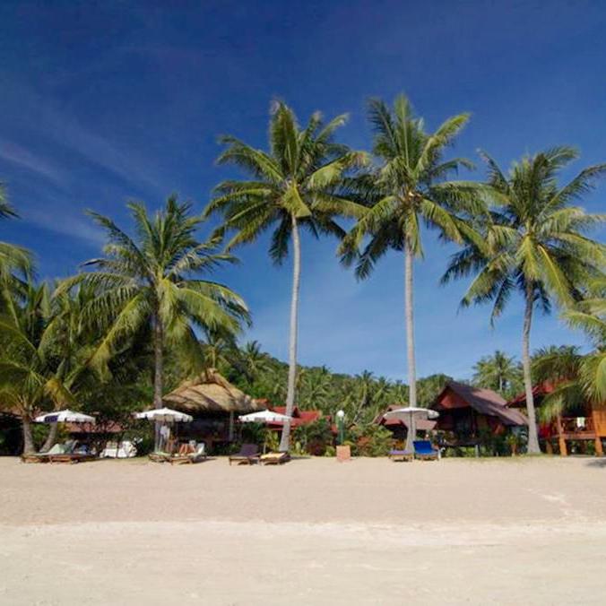 Palm Leaf Resort