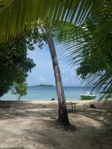 Palmboom malediven backpacken strandje