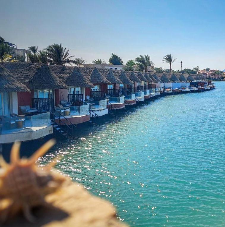 Overwater bungalows with thatched roofs line a turquoise lagoon, each with a private balcony and steps to the water, under a sunny sky.