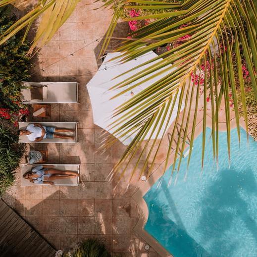 Paradera Park tips aruba hotels