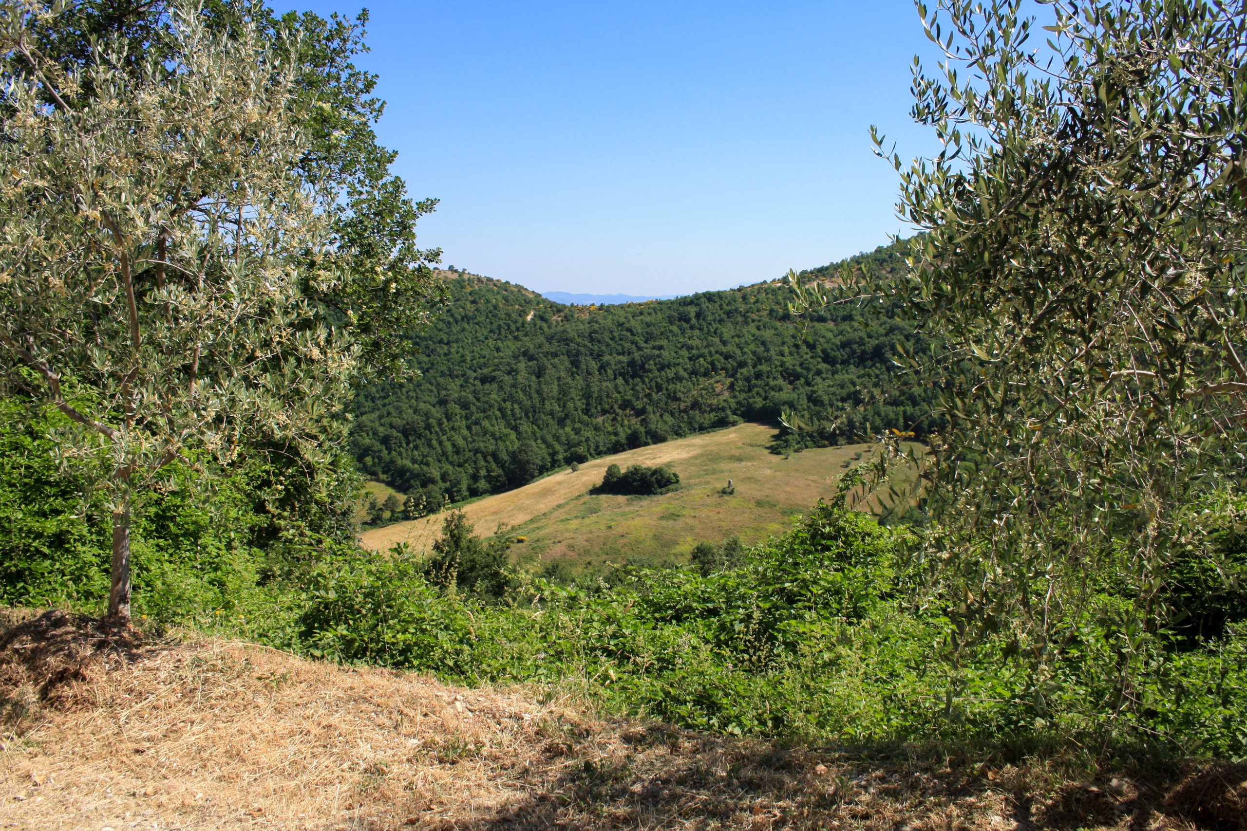 PeR umbrie
