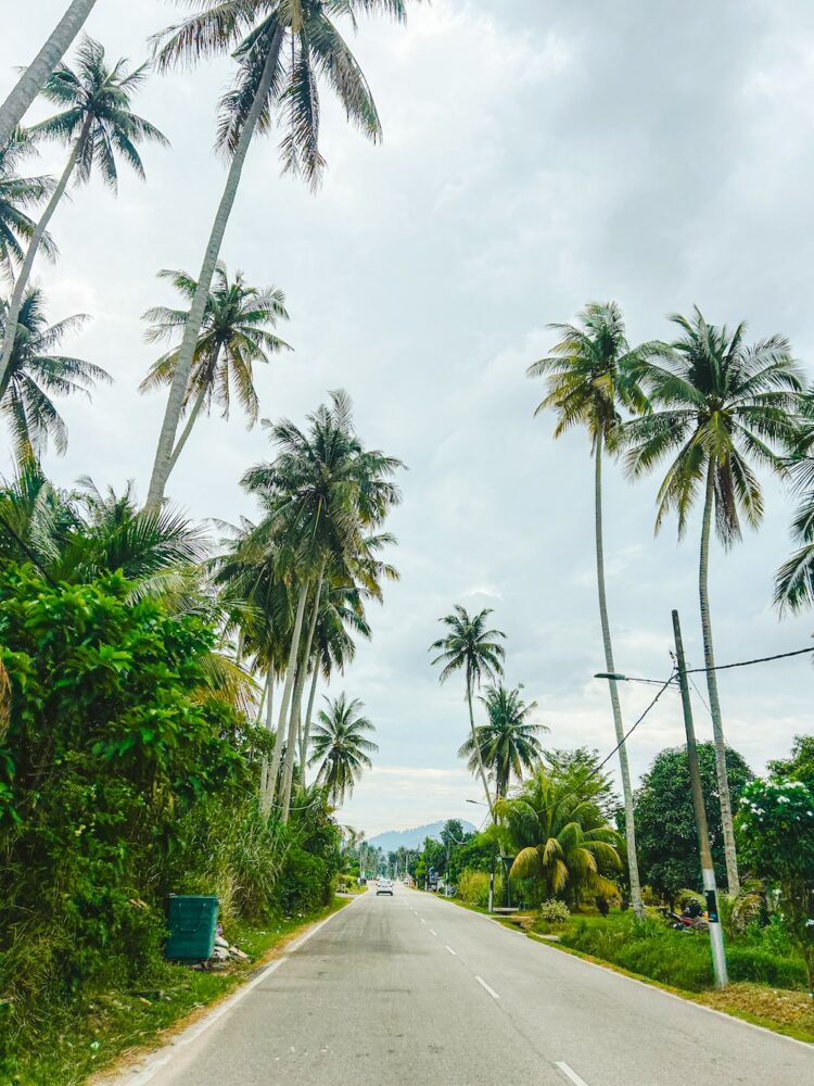 Penang weg