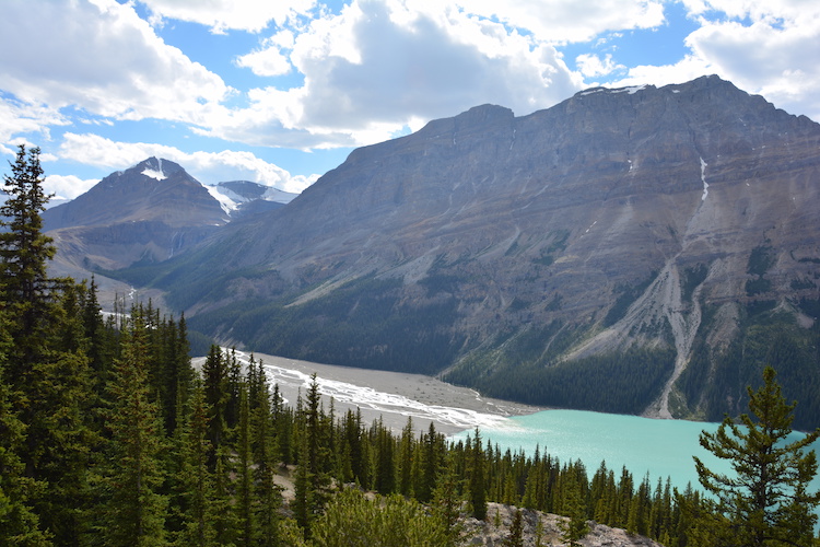 Peyto Lake in West Canada