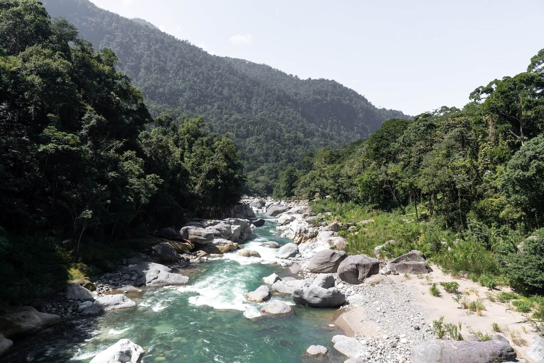 Pico Bonito Rio Cangerejal