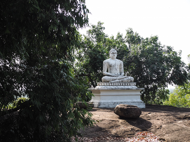 Pidurangala boeddha beelden sri lanka