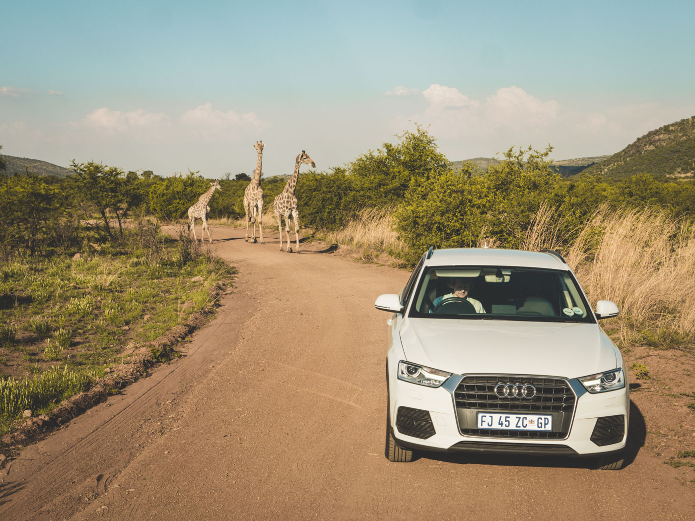 Pilanesberg Zuid Afrika zelf rijden