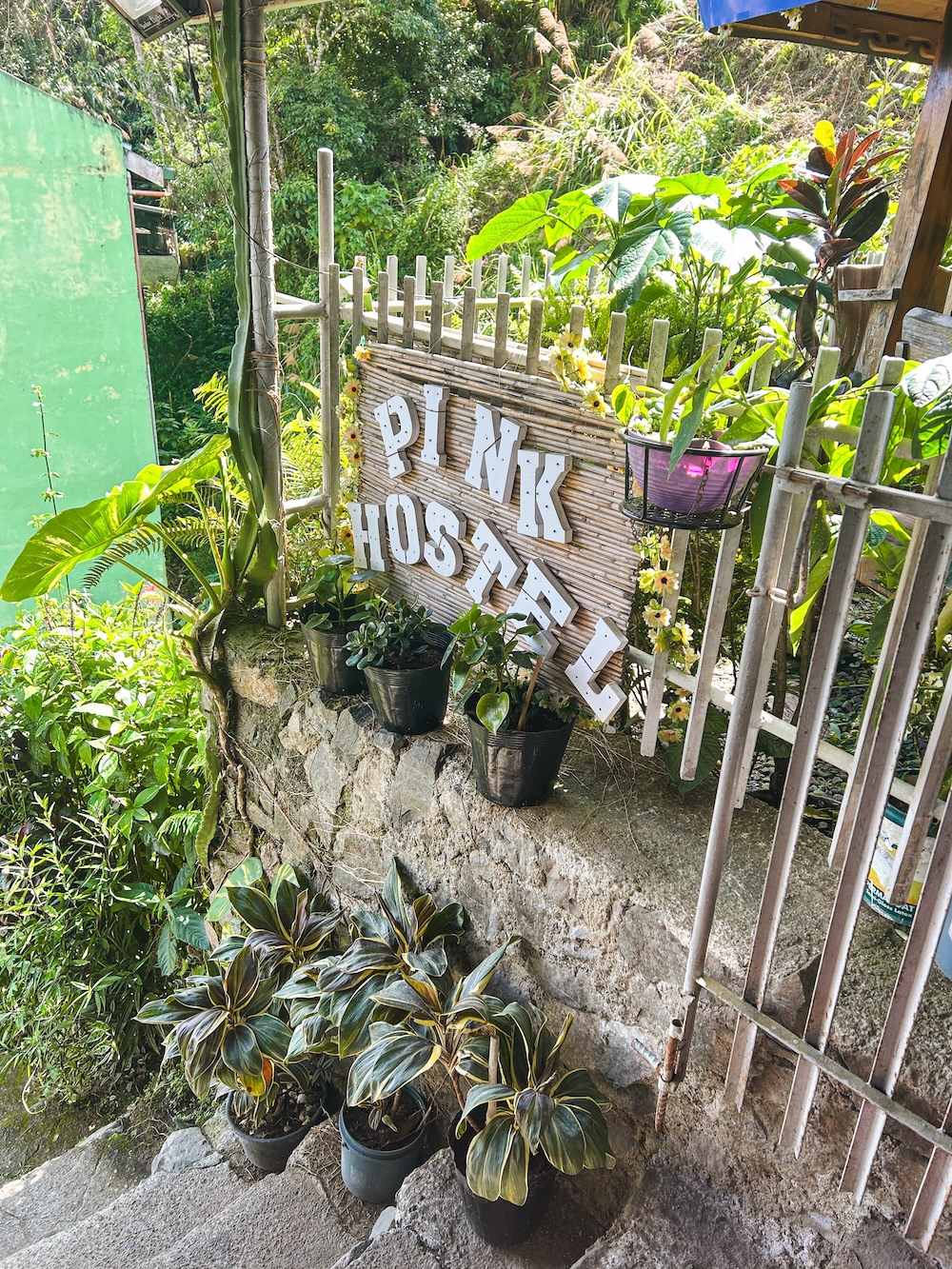 Pink Eco Hostel Banaue
