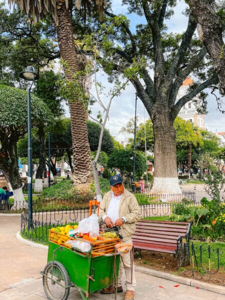Plaza de mayo, man met kraampje