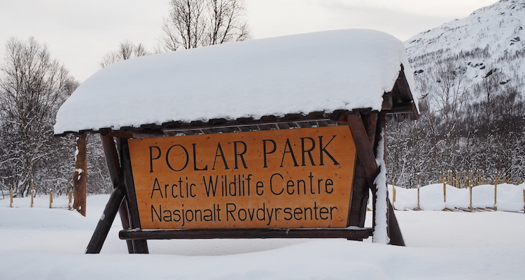 Polar Park wolven noorwegen