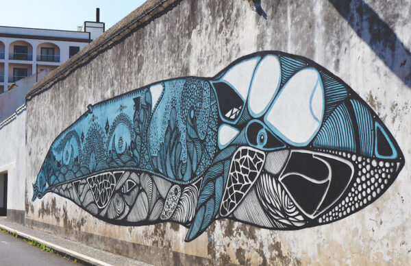 Ponta Delgada Azoren streetart