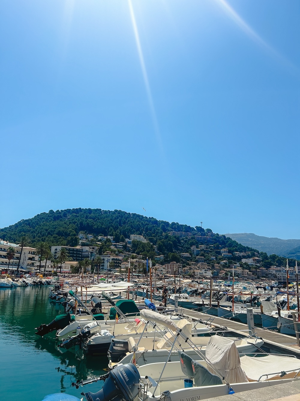 Port de Sollér bootjes