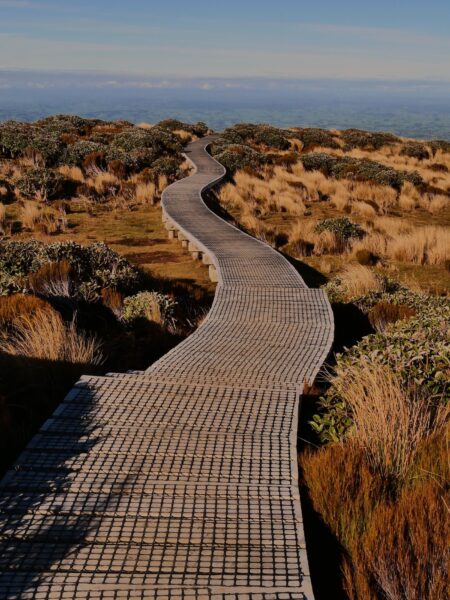 Pouakai Tarn Track pad