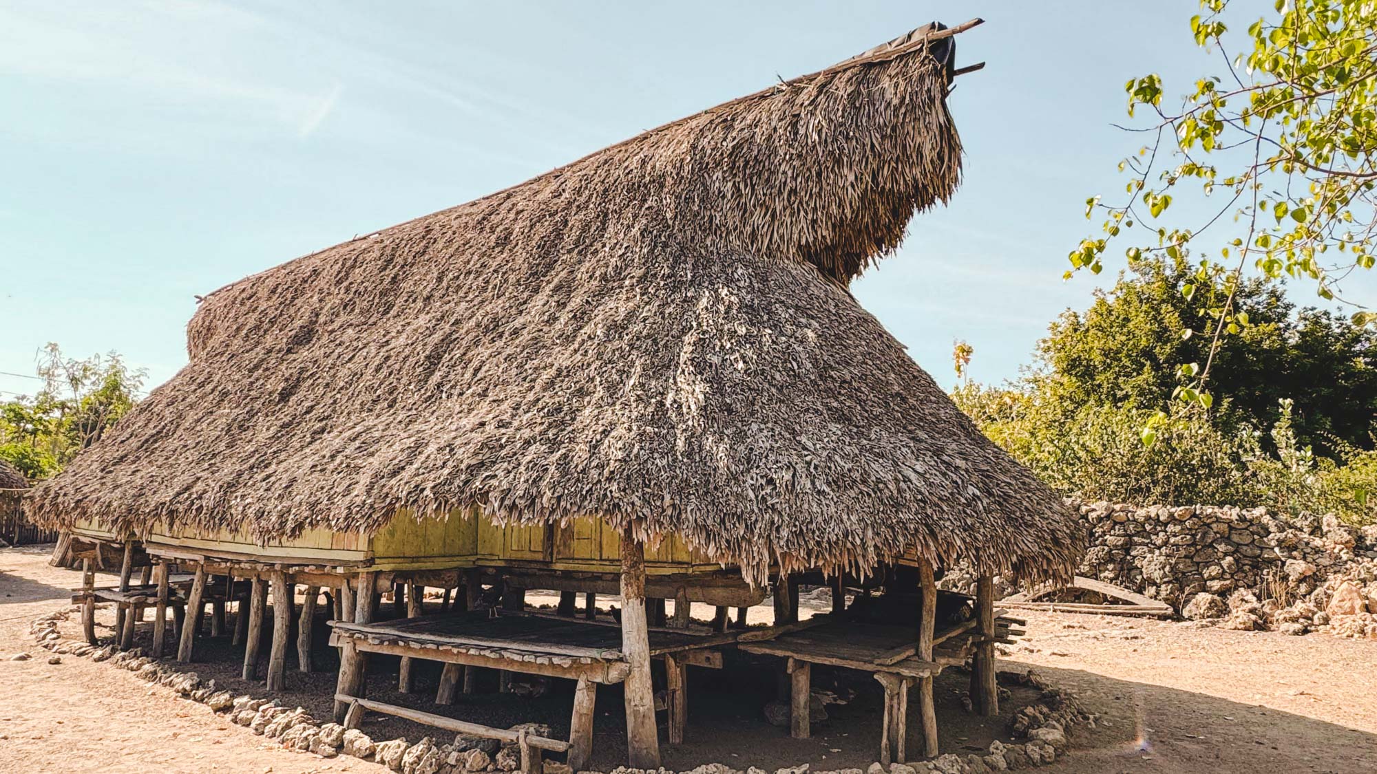 Pulau Sabu Nusa Tenggara Timur cultuur-2