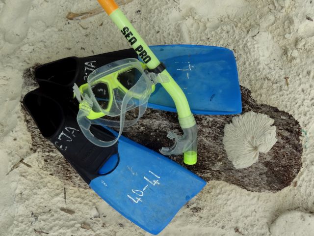 Pulau perhentian snorkelen