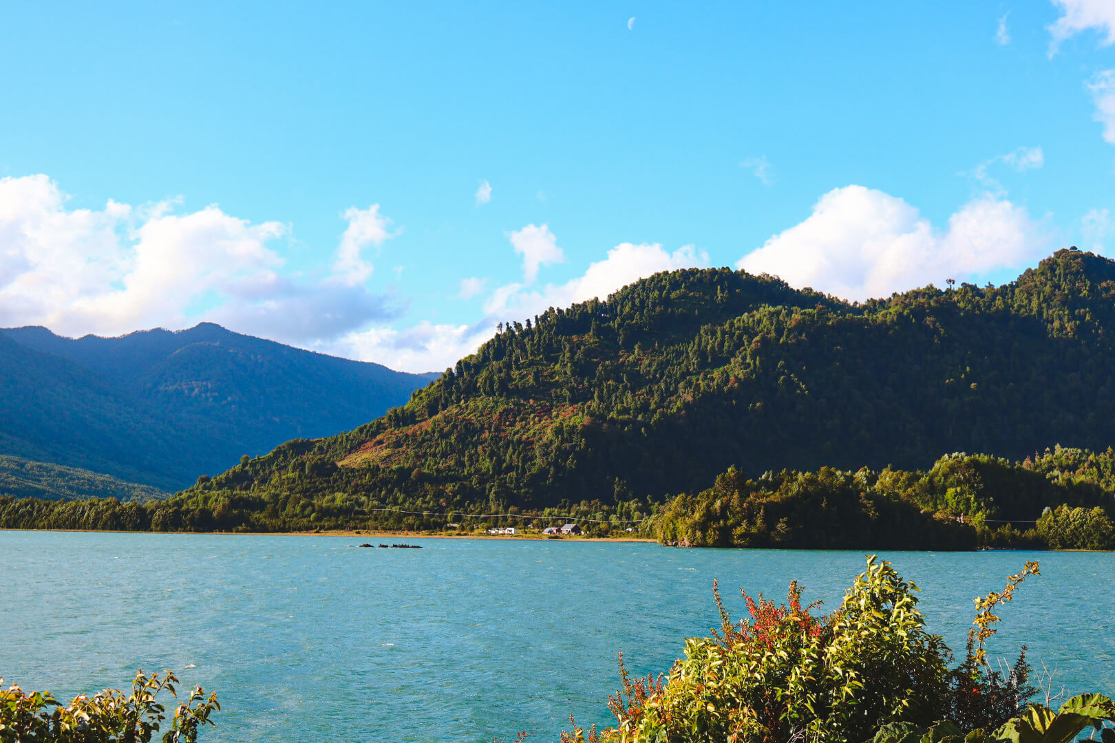 Puyuhuapi chili
