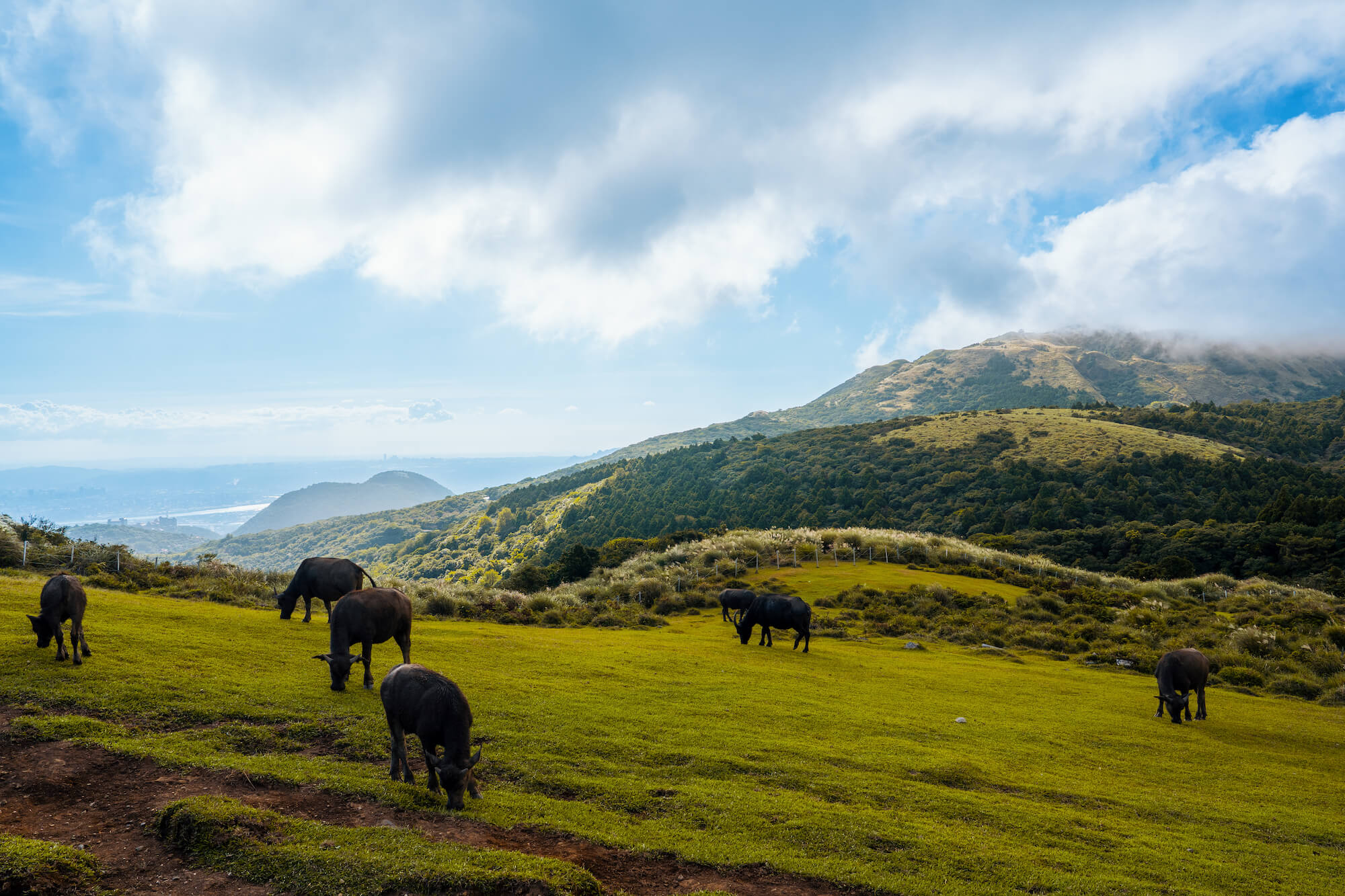Qingtiangang in yangmingshan national park