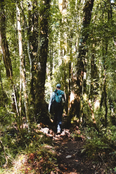 Queulat National Park hiken