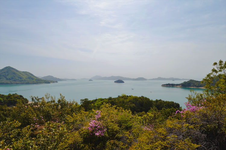Rabbit Island viewpoint Okunoshima