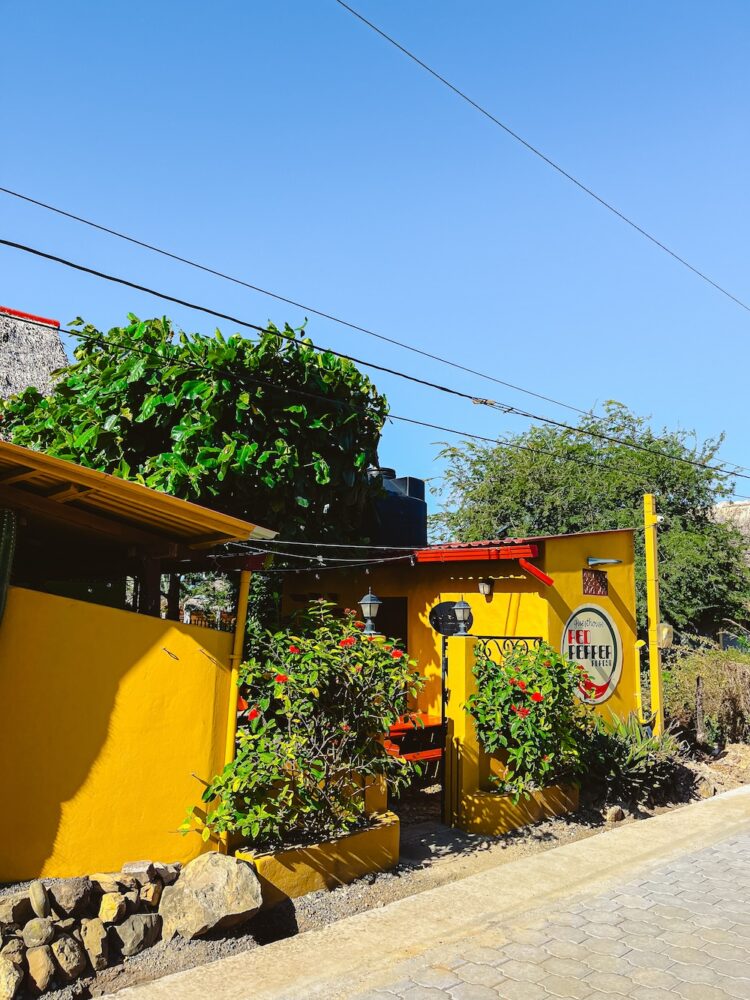Red pepper hostel, Popoyo