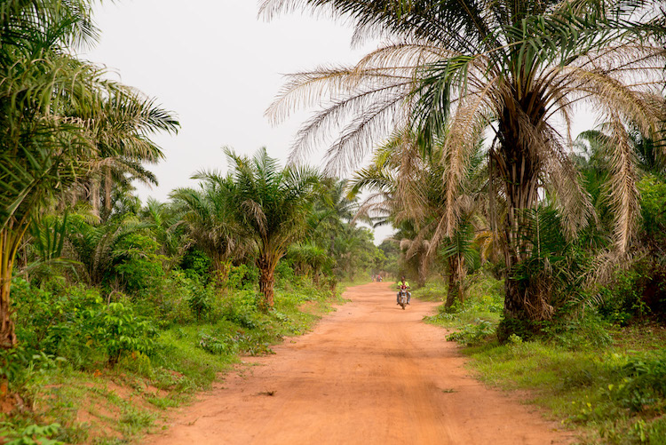 Reis naar Benin Onderweg afrika (Riske)
